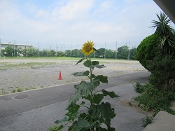 07080701
