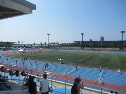 07083101