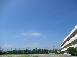 07091703