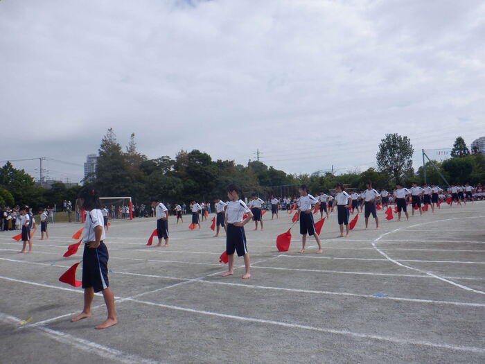 1018フラッグ56年