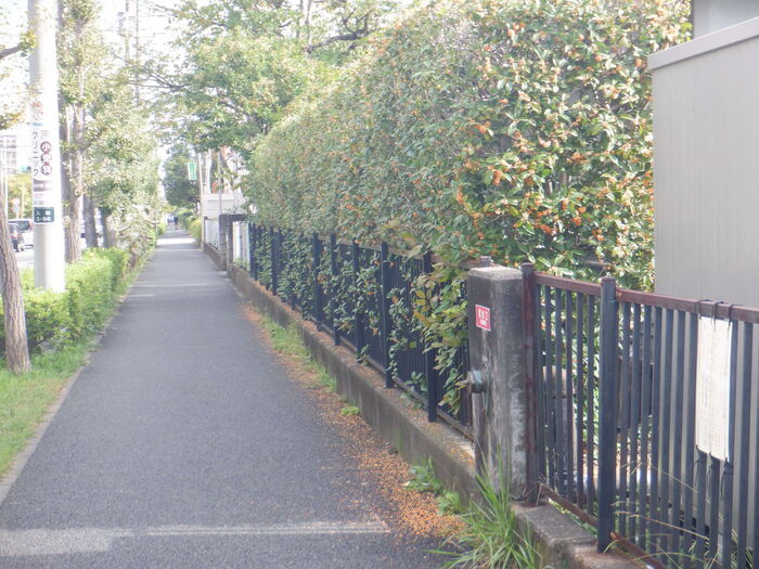 1027金木犀の香り