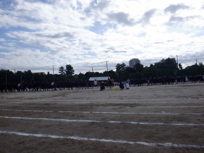 1028体育祭綱引き