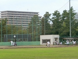 野球
