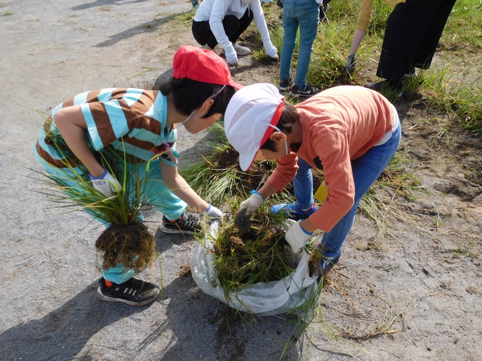 2025.10.02 親子美化活動
