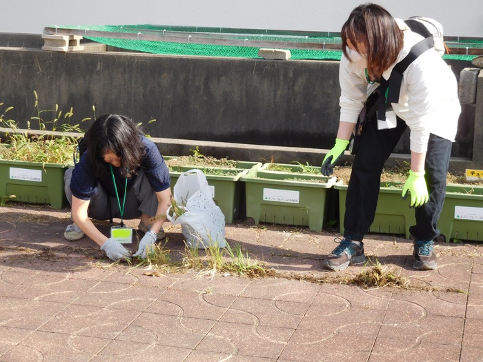 2025.10.02 親子美化活動