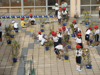 協力して作業する児童