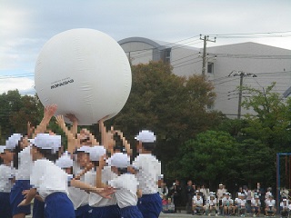 白組　大玉送り