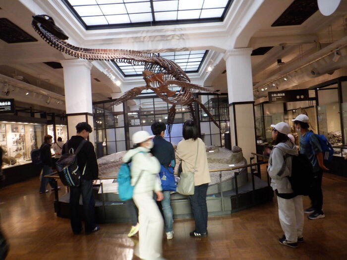 11月21日国立科学博物館
