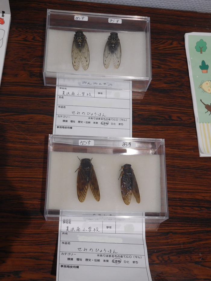 2025.11.01　ふるさと浦安作品展　表彰式・作品発表会