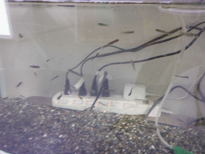 0202やまめの様子