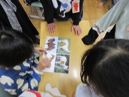 モンゴルの遊び