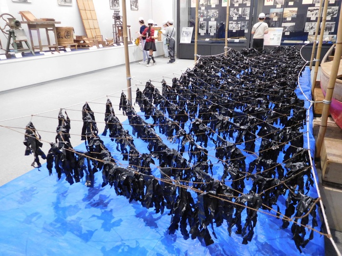 2026.01.28　4年生　海苔すき体験