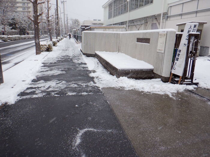 0209雪かき2