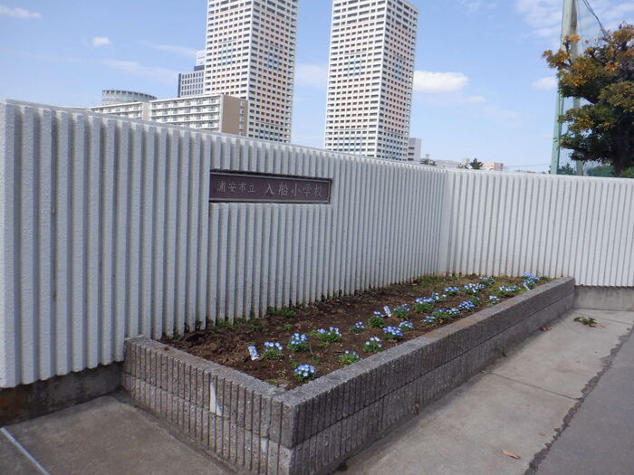 0323校門のネモフィラ