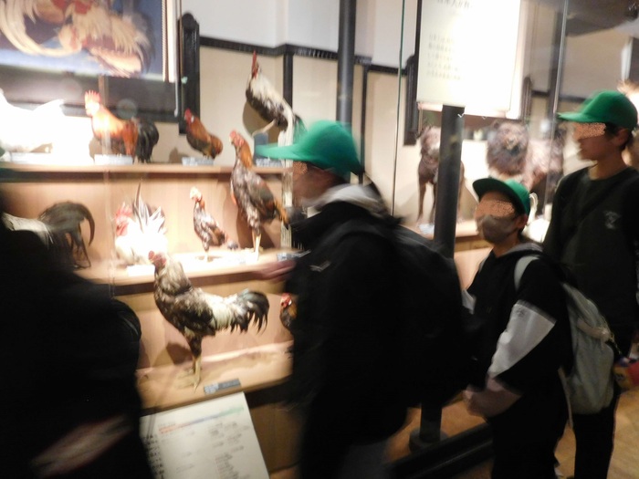 2026.02.20 6年生 校外学習「国会議事堂・東京タワー