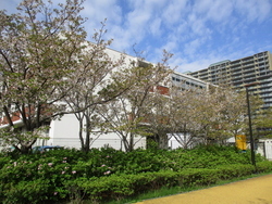 学活