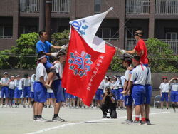 体育祭