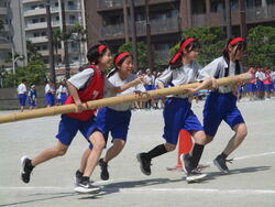 体育祭