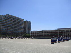 騎馬戦