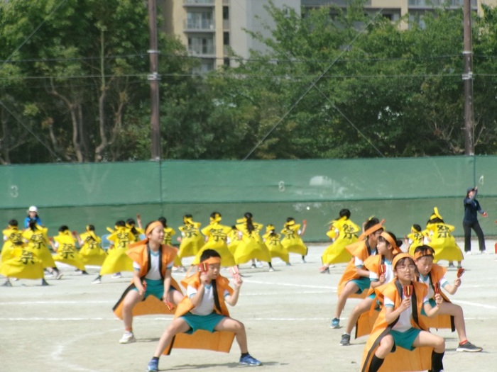 よさこい