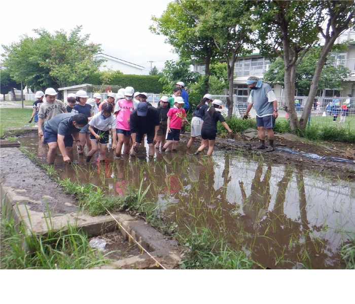 0610田植え5年