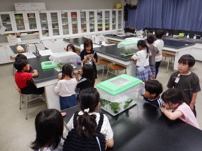 0612ホタル観賞会2年