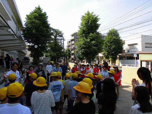 はなうえ