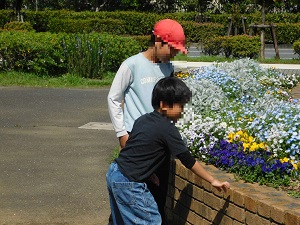 花壇の観察