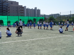 会