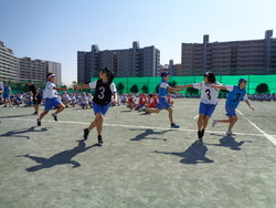 会