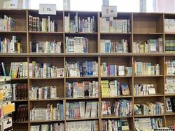 整理された書棚