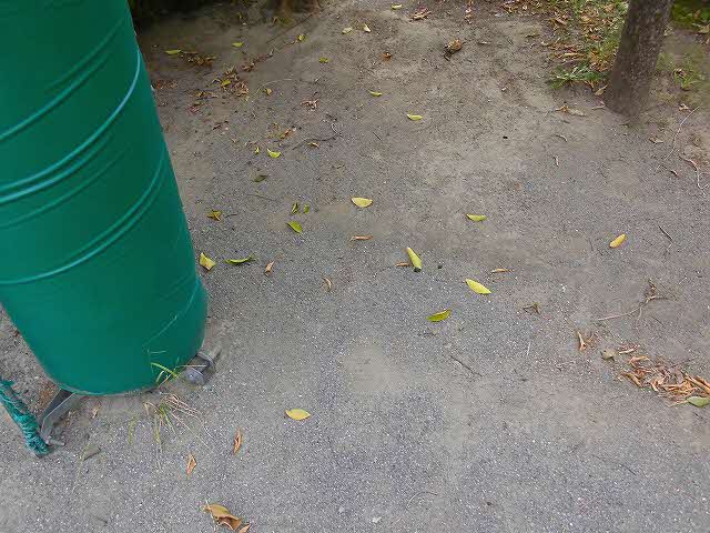 ff