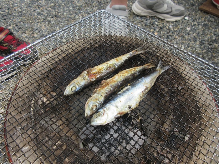 さかな